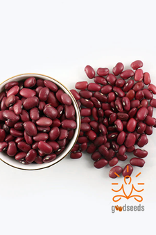 Himalayan Red Rajma