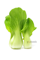 Bok Choy