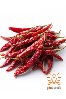 Dried Red Chillies
