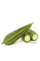 Beera (Ridge Gourd)