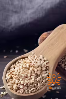 Sesame Seeds