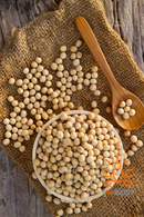 Organic Soybean