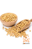 Organic Soybean