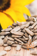 Sunflower Seeds