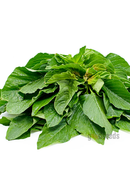 Thotakura (Amaranthus)