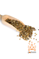 Toasted Hemp Seeds