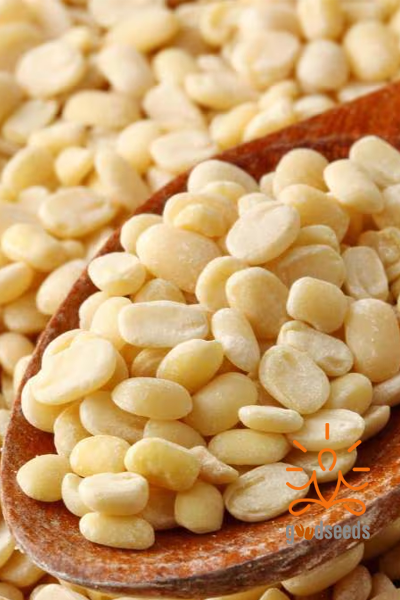 Urad Dal