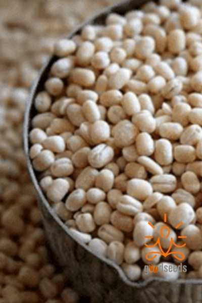 Urad Whole