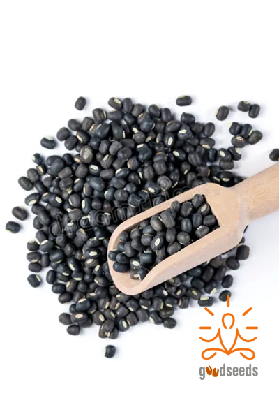 Urad Whole (Black)