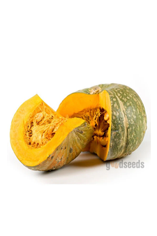 Yellow Pumpkin