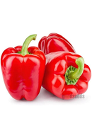 Red Capsicum
