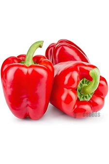 Red Capsicum