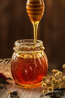Malnad Forest Honey