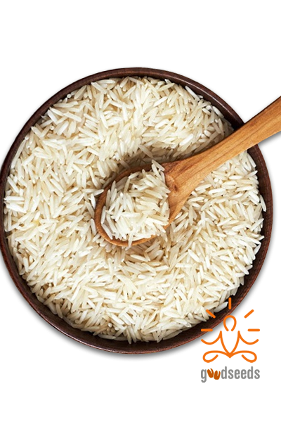 Organic White Rice