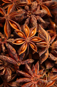 Star Anise