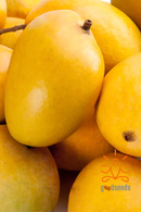 Alphonso Mango