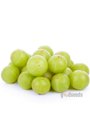 Amla