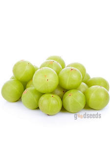 Amla