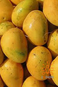 Banginapalli Mango