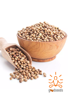 Coriander seeds (Dhania)