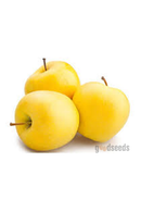 Kinnaur Golden Delicious