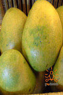 Himayat Mango