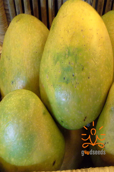 Himayat Mango