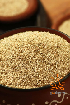 Poppy Seeds