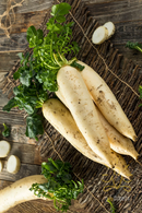 Radish