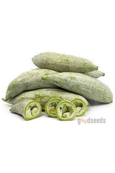 Snake Gourd