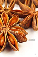 Star Anise
