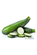 Green Zucchini